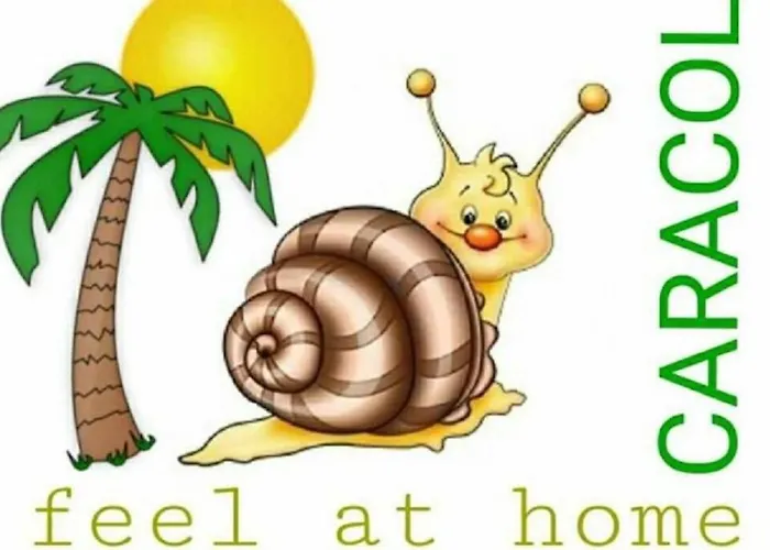 Caracol 普拉亚戴尔雷安格莱斯